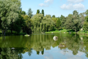 Fototapeta na wymiar Pond in Seine et Marne country near the Seine river