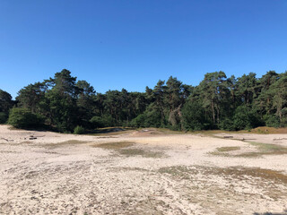 Sand dunes around Beerze
