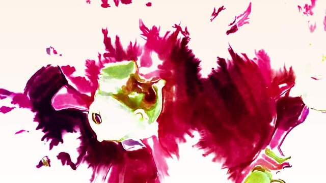 Floral collection. Botanical background animation. Blooming live image, motion design. Beautiful Colorful Orchids - hand painted watercolor flowers. Cute aquarelle paintings invitation. video