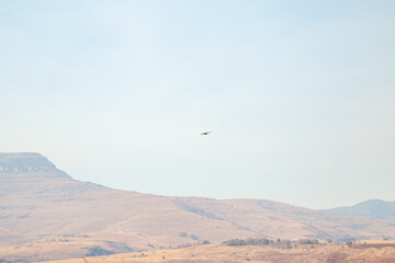 rocky red sand and dry grass on African landscape eagle in sky silhouette with mountains in background out of focus with grain