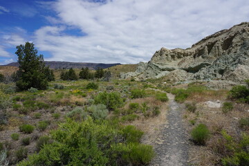 Fototapeta na wymiar Blue Basin Overlook Trail, John Day Fossil Beds National Monument, Oregon, United States