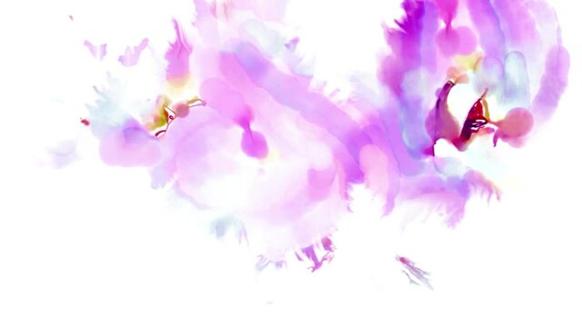 Floral Collection. The beauty and the unique greeting. Paint bleed bloom transition. Top Quality Ink blot animation Stock footage. You can use this footage for Video Clip. It can also use for Editing 