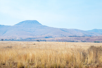 Obraz premium African savanna grassland with winter dry grass and mountains in the distance with clear blue skies out of focus and with grain