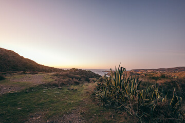 A building with a grassy field