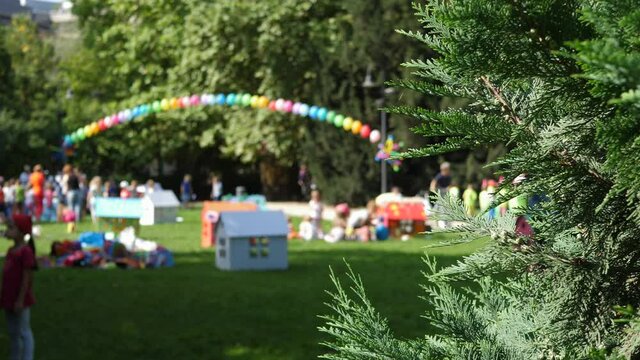Pine tree blure party in bacground