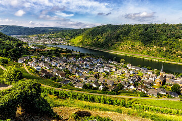 Moselle valley Germany: view from Thurant castle to the city of Alken with vineyards and Moselle river in summer, Germany Europe