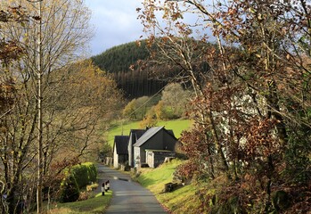 A view along the single track road in Aberllefenni village Wales, UK.