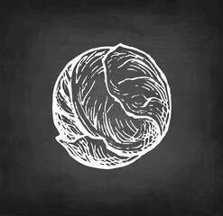 Chalk sketch of brussel sprout