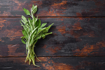 Organic sage on dark old wooden table top view space for text.