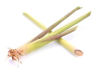 Fresh lemon grass on white background. Cymbopogon citratus.