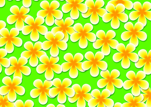 Seamless white plumeria or araliya flower pattern for wallpaper in vector format