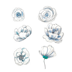 Watercolor illustration