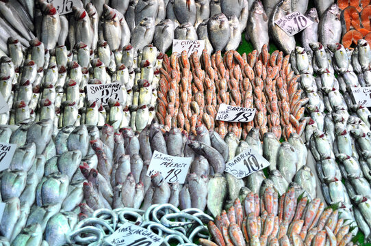 Clean fish are sold fresh at fish market, fresh various fish for sale