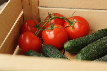 Fresh cucumbers and tomatoes on the table 