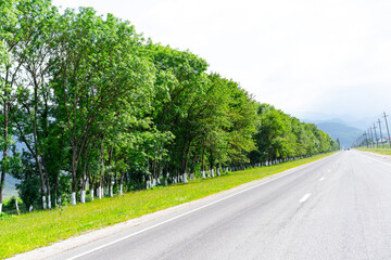 Auto road along the highway along the trees
