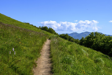 Appennino tosco emiliano mab unesco