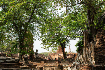 Fototapeta premium temple thailand ayutthaya