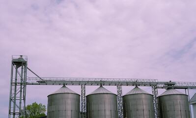 Plant with containers for making drinks, against the sky
