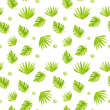 Tropical seamless pattern leaf Watercolor hand painted natural elements on a white background