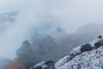 Autumn forest, mountains and sea. Golden autumn vertical landscape. Bright Sunny water. Natural background with rocks.