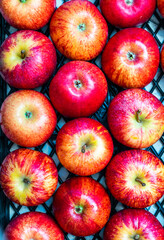 A bunch of fresh red apple in a tray with reflecting water drops on it, blurry black background, long exposure photography