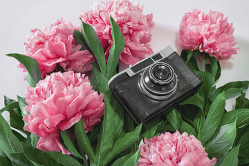 old black camera with pink peonies on the white background