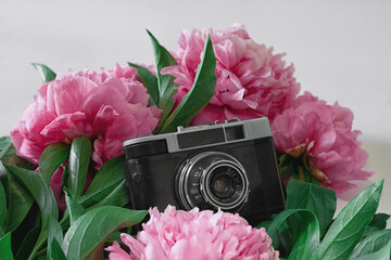 old black camera with pink peonies on the white background