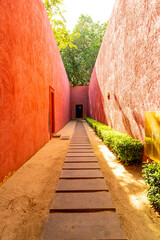  walkway with tree and orange wall