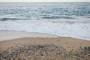 A bird standing on top of a sandy beach