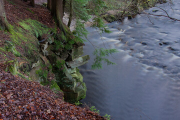 Obraz premium river in the forest