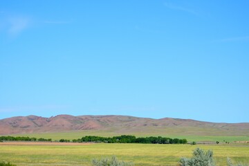 Obraz premium Kazakh steppe summer day landscape on the road A-3 in Kerbulak district of Almaty region, Kazakhstan