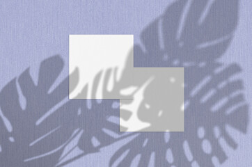 Business card Mockup. Natural overlay lighting shadows the monstera leaves. Square business cards. Scene of Leaf Shadows on violet background.