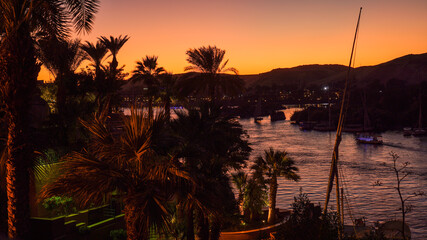 Nile river bank in Egypt sunset orange sky and palm tree with sand dessert slope