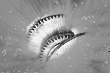Black and white photography.Gears in oil. Oil change in mechanisms, engines, motors. Car service concept. Macro.