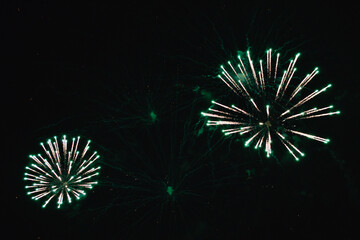 A flash of emerald flower in a festive sky illuminates the horizon like in the daytime.