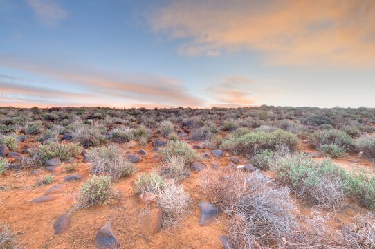 VIEW OF THE TANKWA KAROO  in a time of drought
