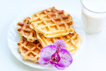 Viennese homemade waffles are served for Breakfast with milk and homemade jam. Waffles with milk.