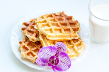 Viennese homemade waffles are served for Breakfast with milk and homemade jam. Waffles with milk.