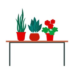 Indoor plants stand on the table. Different home flowers in pots.