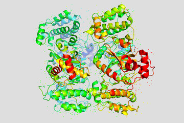 The structure of the protein molecule, tumor marker glioblastoma.
