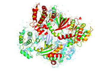 The structure of the protein molecule, tumor marker glioblastoma.