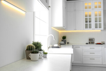 Fototapeta na wymiar Beautiful houseplants near sink in stylish kitchen interior