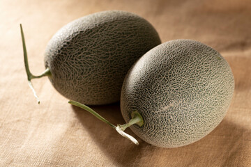 メロンの果実