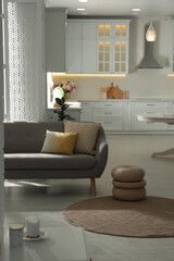 Stylish apartment interior with modern kitchen. Idea for design