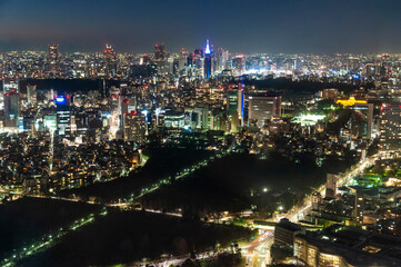 Fototapeta na wymiar Night view of the Tokyo skyline from Roppongi Hills.