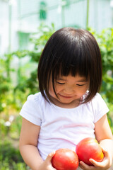 家庭菜園で採れたトマトを手に持つ子供