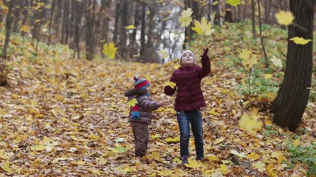 autumn leaf fall. children catch yellow maple leaves. kid fun