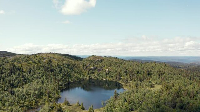 Arial shot with a drone from the mountains and forest in Norway, shot at the Vassfaret in Hallingdal.  The lake is very good fishing water with large trout. 