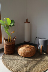 Aesthetic interior. Sitting corner has floor lamp, floor mat, plants and chair. Plants basket and...