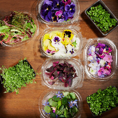 Eatable organic dressing in boxes